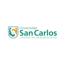 Universidad San Carlos